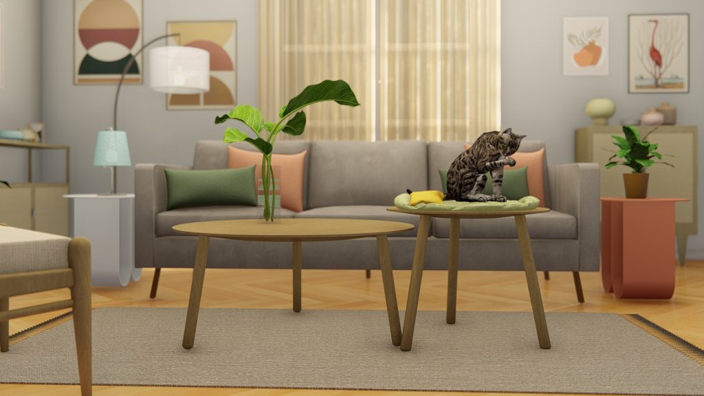 CHICA GATO__Photo – 6