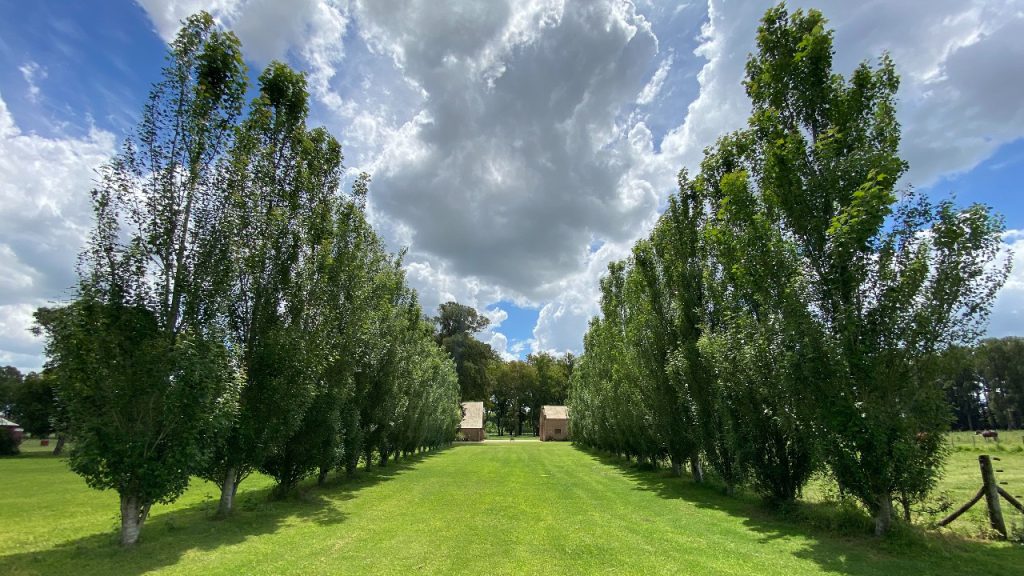 La Serenisima Locacion Gomera Gigante